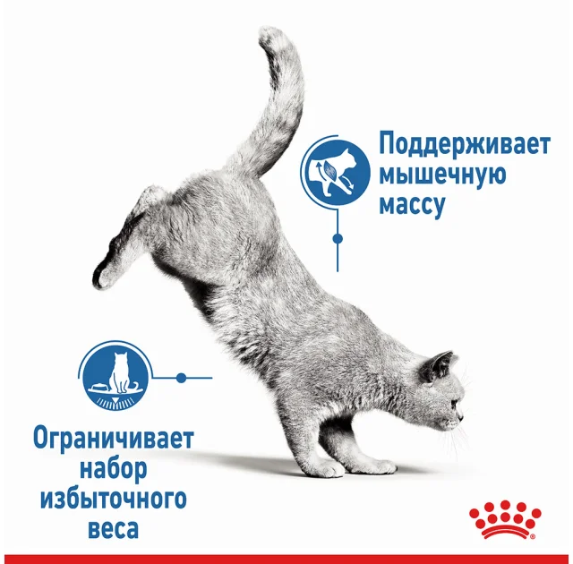 Влажный корм Royal Canin Light Weight Care паштет, для кошек склонных к лишнему весу, 85 г