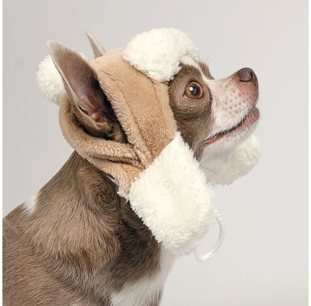 Шапка Pet Fashion Bubo для собак, розмір S, бежевий