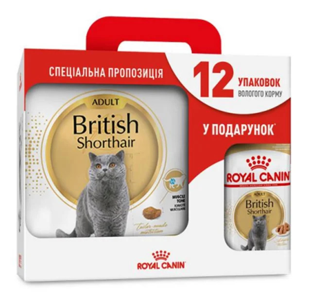 Сухой корм Royal Canin British Shorthair Adult для британских короткошёрстных кошек, 4 кг + 12 паучей в подарок