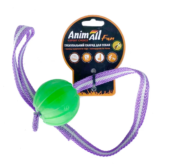Іграшка AnimAll Fun для собак, тренінг м'яч зі шлейкою, 6 см, зелена