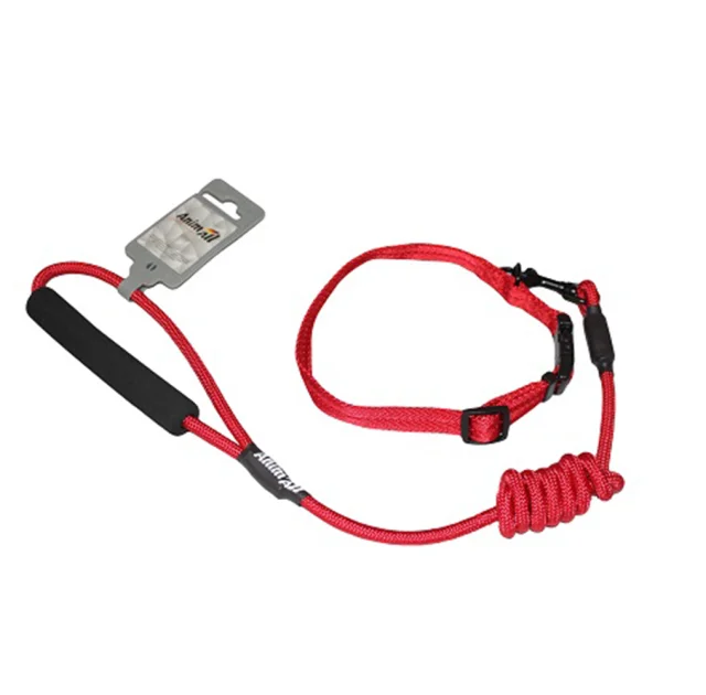 Комплект ошейник с поводком AnimAll для собак, S, 0.8×120 см/37-46 см, красный