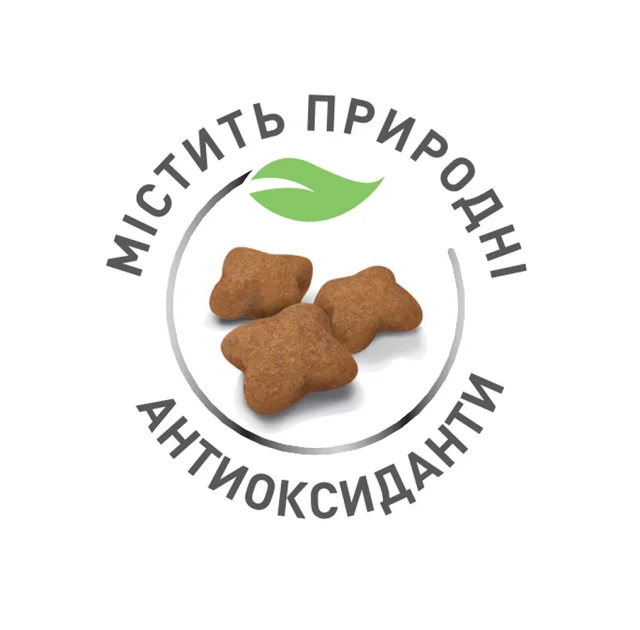 Сухий корм Royal Canin Kitten для кошенят від 4 до 12 місяців, 2 кг