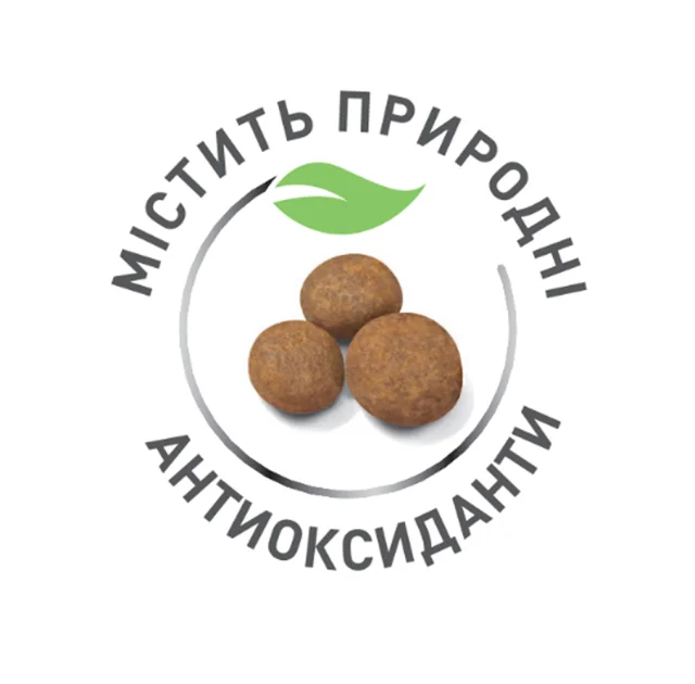 Сухий корм Royal Canin Maxi Puppy для цуценят великих порід з 2 до 15 місяців, 4 кг