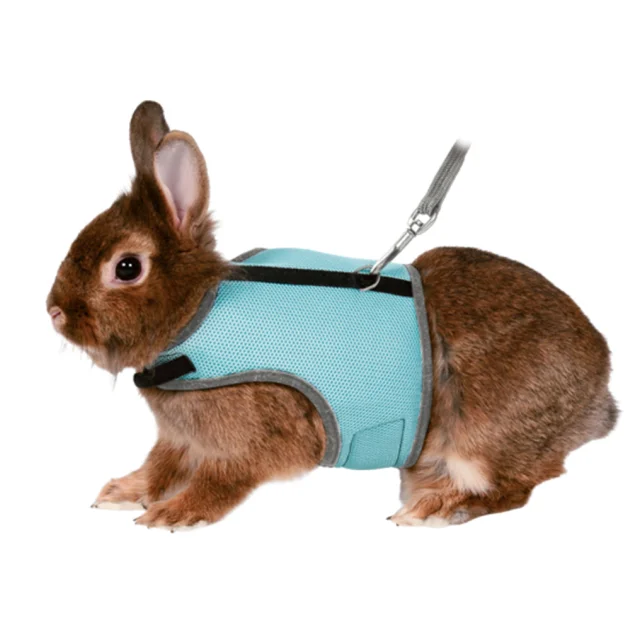 Шлейка з повідцем Trixie, для кроликів, 25-32 см