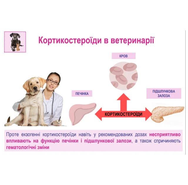 Стимулятор обміну речовин Катобевіт, 100 мл