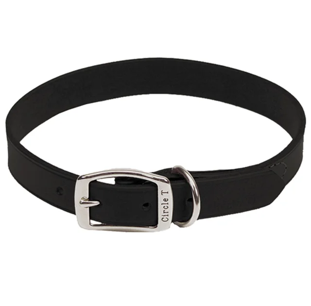 Шкіряний нашийник Coastal Circle T Leather Town для собак, чорний, 2.5×60 см