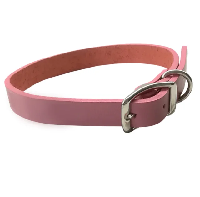 Кожаный ошейник Coastal Circle-T Fashion для собак, розовый, 1.6×40 см