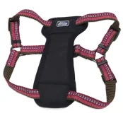 Нейлонова шлея Coastal K9 Explorer c нагрудником, для собак, малиновий, 2.5×65-95 см