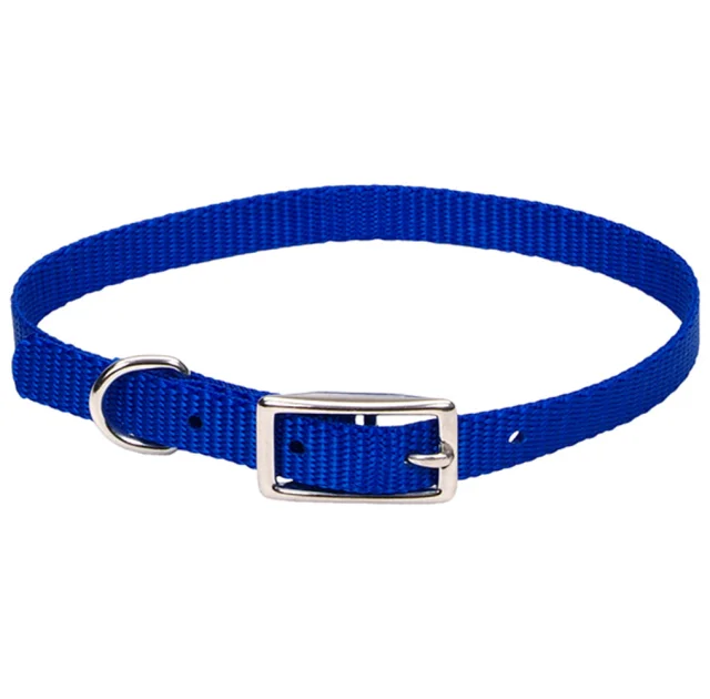 Нашийник Coastal Nylon Web для собак, синій, 1×25 см