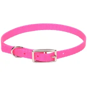 Нашийник Coastal Nylon Web для собак, ярко-рожевий, 1×30 см