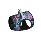 Шлея Waudog Clothes c QR-паспортом для собак, мягкая, рисунок "Рик и Морти 1", размер ХS2, 28-31/20-22 см