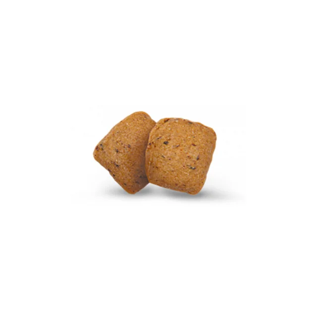 Сухий корм Green Petfood InsectDog Hypoallergen Adult для дорослих собак, з протеїнами комах, 900 г
