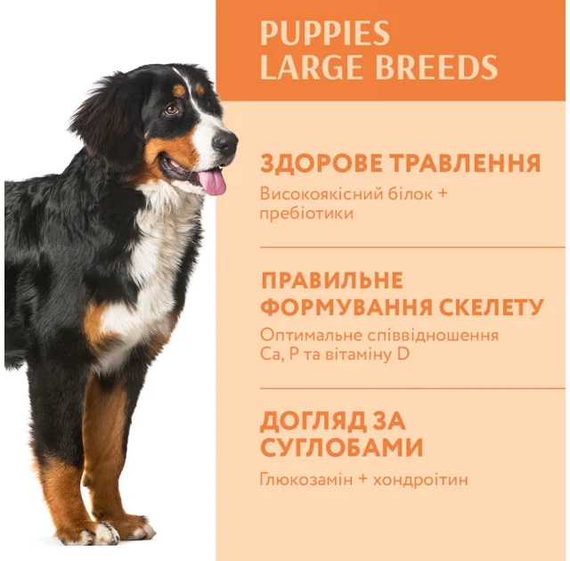Сухий корм Optimeal для цуценят великих порід, з індичкою, 4 кг