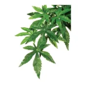 Штучне рослина Repti-Zoo Velvetleaf TP003, 40 см Штучне рослина Repti-Zoo Velvetleaf TP003, 40 см