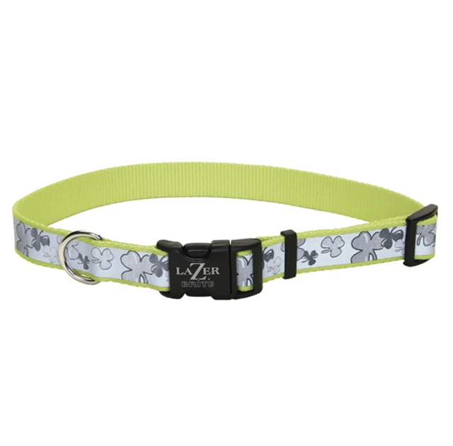 Cветоотражающий ошейник Coastal Lazer для собак, салатовый, 1.6×30-45 см