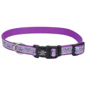Cветоотражающий ошейник Coastal Lazer для собак, пурпурный, 1.6×30-45 см