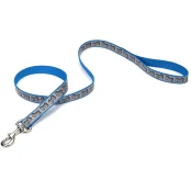 Cветоотражающий поводок Coastal Lazer для собак, бирюзовый, 1.6×1.2 м