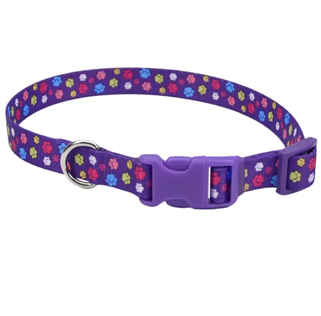 Нашийник Coastal Pet Attire Style для собак, фіолетовий, 2.5×45-71 см