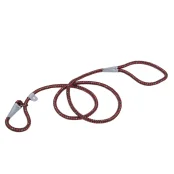 Нашийник-поводок Coastal K9 Explorer ривковий для собак, малиновий, 1×1.8 м