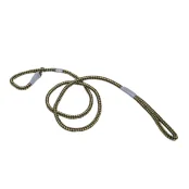 Нашийник-поводок Coastal K9 Explorer ривковий для собак, зелений, 1×1.8 м