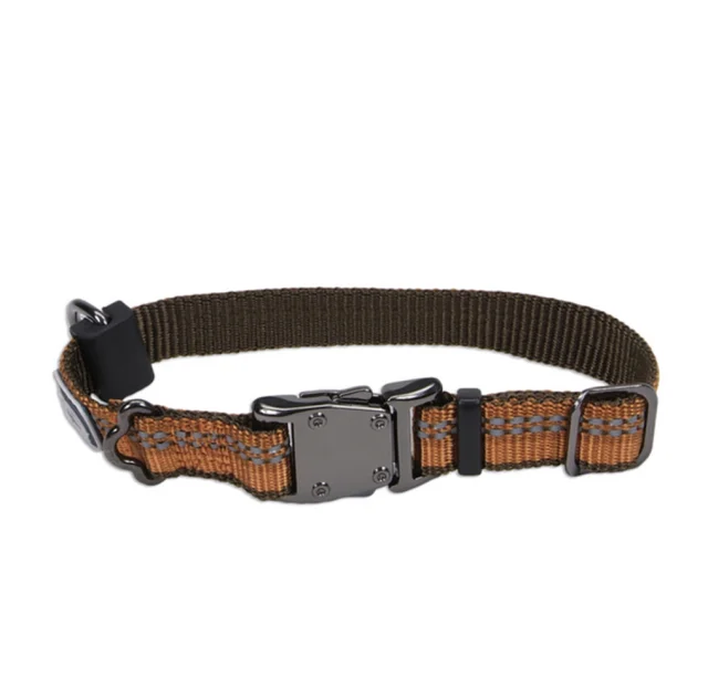 Нейлоновий нашийник Coastal K9 Explorer для собак, помаранчевий, 1.6×20-30 см