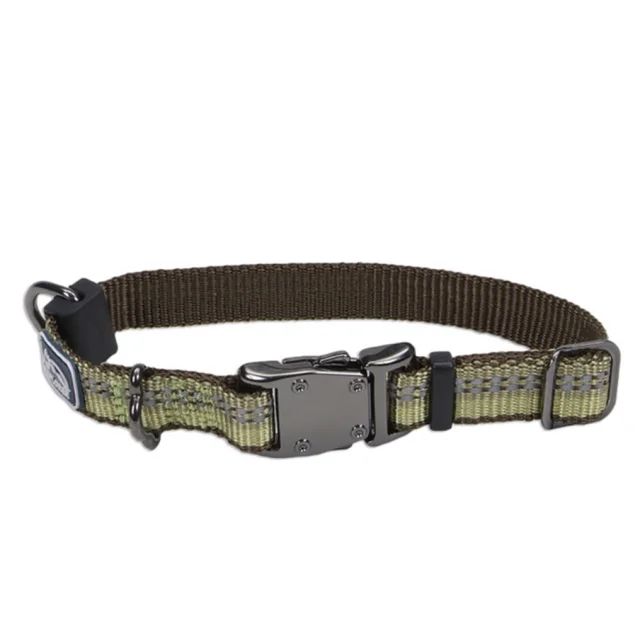 Нейлоновий нашийник Coastal K9 Explorer для собак, зелений, 1.6×20-30 см