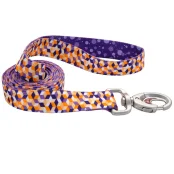 Повідець Coastal Sublime для собак, різнокольоровий, 2.5×1.8 м