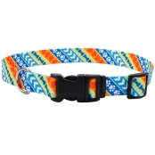 Нашийник Coastal Pet Attire Style для собак, різнокольоровий