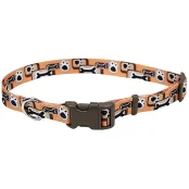 Нашийник Coastal Pet Attire Style для собак, помаранчевий