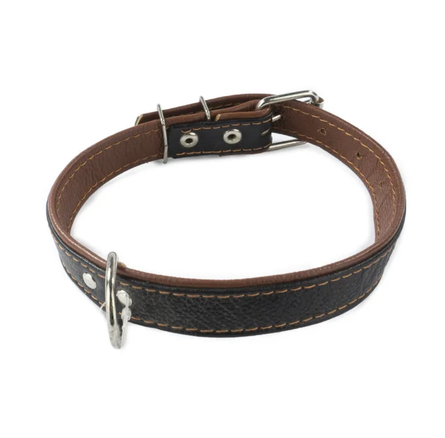 Нашийник Cristel для собак, чотиришаровий, з фурнітурою і заклепками, шкіра, 25мм, чорно-коричневий