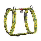Шлея Waudog Nylon c QR-паспортом для собак, анатомическая, рисунок "Смелость", размер M, 40-70/50-80 см