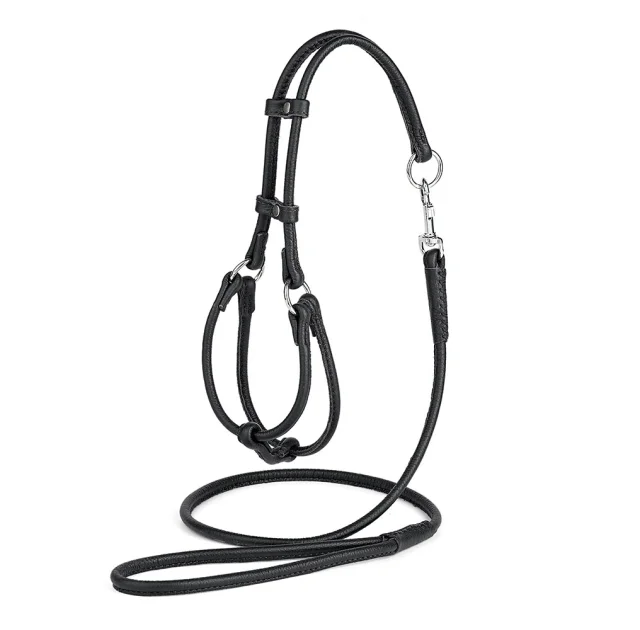 Комплект Kareline шлея и поводок круглые для собак, из мягкой кожи, 0.5/28-35×33-40 см