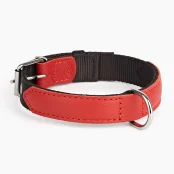 Нашийник Kareline для собак, з нейлону та м'якої шкіри, 3.5×41-51 см