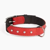 Нашийник Kareline для собак, з нейлону та м'якої шкіри, з прикрасами, 2.5×37-44 см