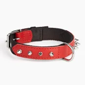 Нашийник Kareline для собак, з нейлону та м'якої шкіри, з прикрасою "шип", 2.5×37-44 см