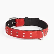 Нашийник Kareline для собак, з нейлону та м'якої шкіри, з прикрасами, 4.5×51-64 см