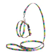 Комплект Kareline шлея и поводок для собак, нейлон, узор Keeper, 1/30×33 см