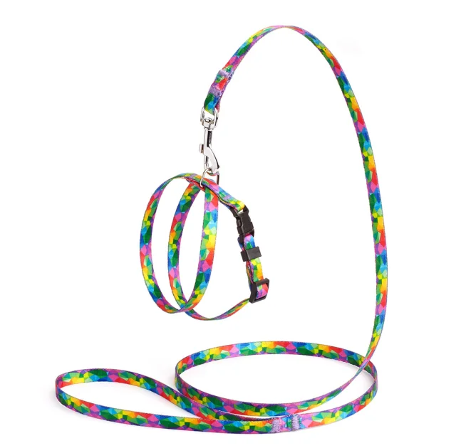 Комплект Kareline шлея и поводок для собак, нейлон, узор Keeper, 1/30×33 см