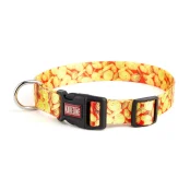 Нашийник Kareline для собак, нейлон, пластикова пряжка, візерунок Money, 2×28-40 см