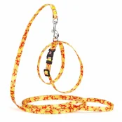 Комплект Kareline шлея и поводок для собак, нейлон, узор Money, 1/30×33 см