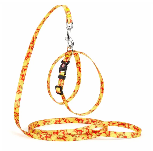 Комплект Kareline шлея и поводок для собак, нейлон, узор Money, 1/30×33 см