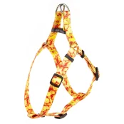 Шлея Kareline для собак, нейлон, с пластиковой пряжкой, узор Money, 2.5 см/50-68 см/50-72 см