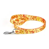 Поводок Kareline для собак, нейлон, узор Money, 2×180 см