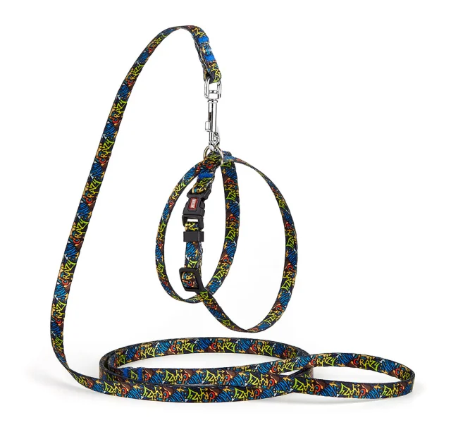 Комплект Kareline шлея и поводок для собак, нейлон, узор Crazy, 1/30×33 см