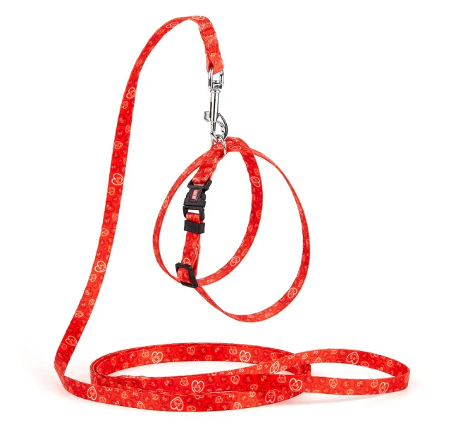 Комплект Kareline шлея и поводок для собак, нейлон, узор Hearts, 1/30×33 см