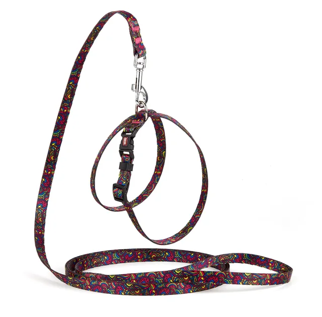 Комплект Kareline шлея и поводок для собак, нейлон, узор Kaleidoscope, 1/30×33 см