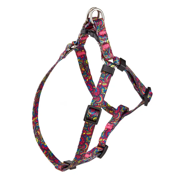 Шлея Kareline для собак, нейлон, с пластиковой пряжкой, узор Kaleidoscope, 1×24-30 см/26-40 см