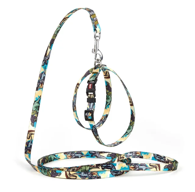 Комплект Kareline шлея и поводок для собак, нейлон, узор Dino, 1/30×33 см