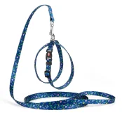 Комплект Kareline шлея и поводок для собак, нейлон, узор UFO, 1/30×33 см