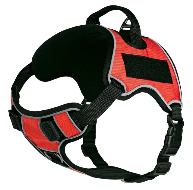 Шлея Kareline Quest светоотражающий для собак больших пород, нейлон, XL, 91.5×114.5 см